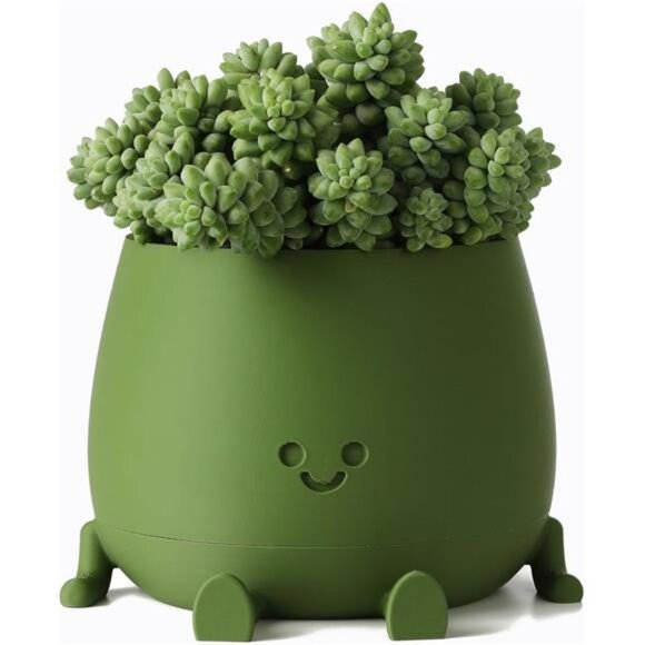 Happy Face Self Watering Planter Pot with Drainage Indoor Outdoor Succulent - Picture 1 of 8